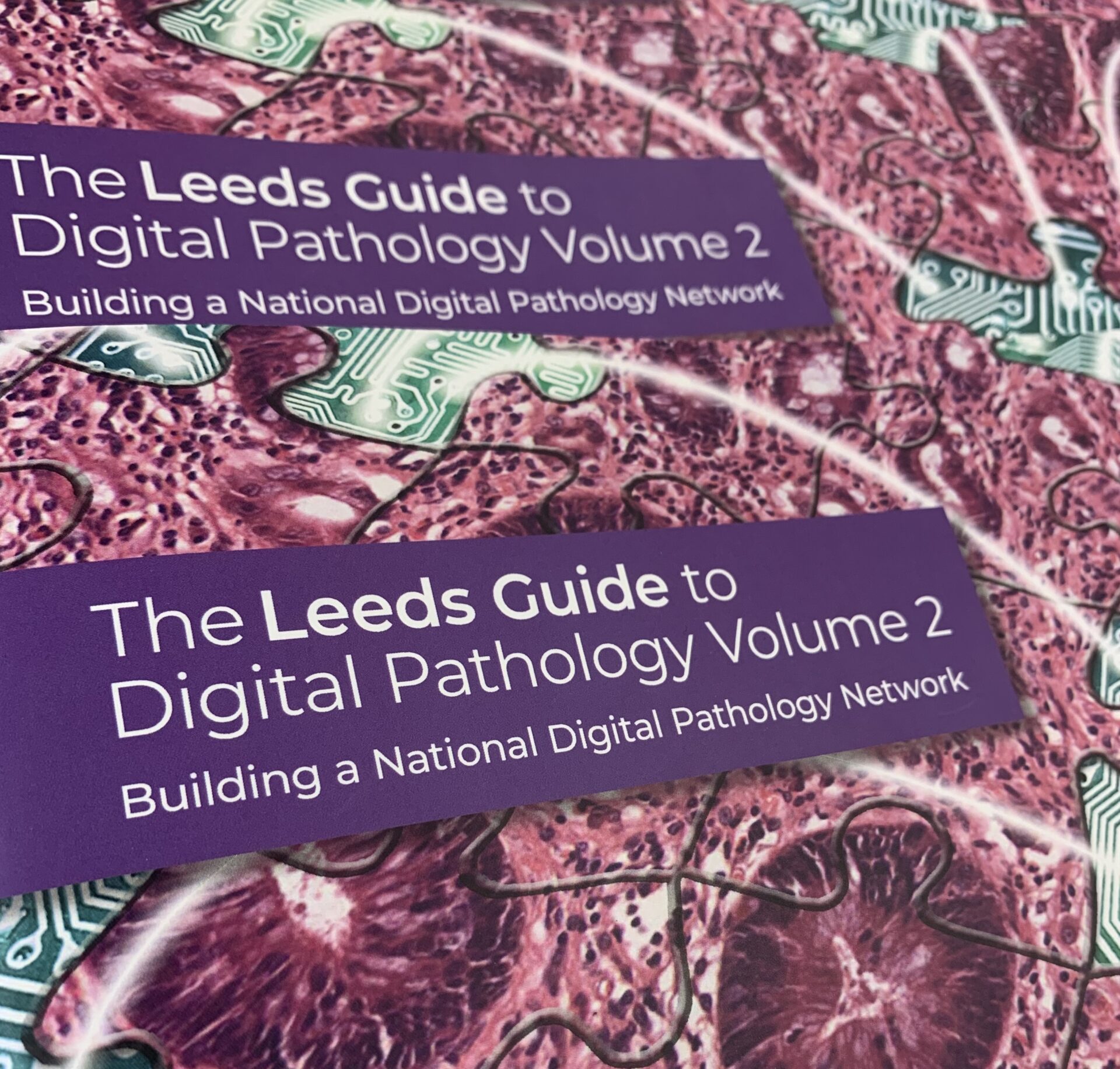 Leeds Guide to Digital Pathology Volume 1