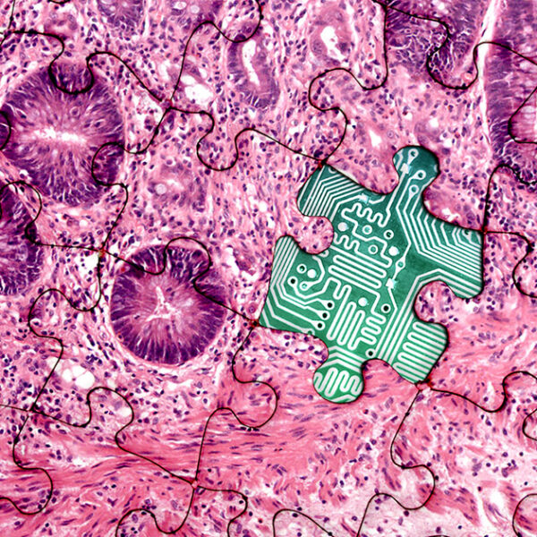 Pathology Image Complex NPIC - National Pathology Imaging Co-operative