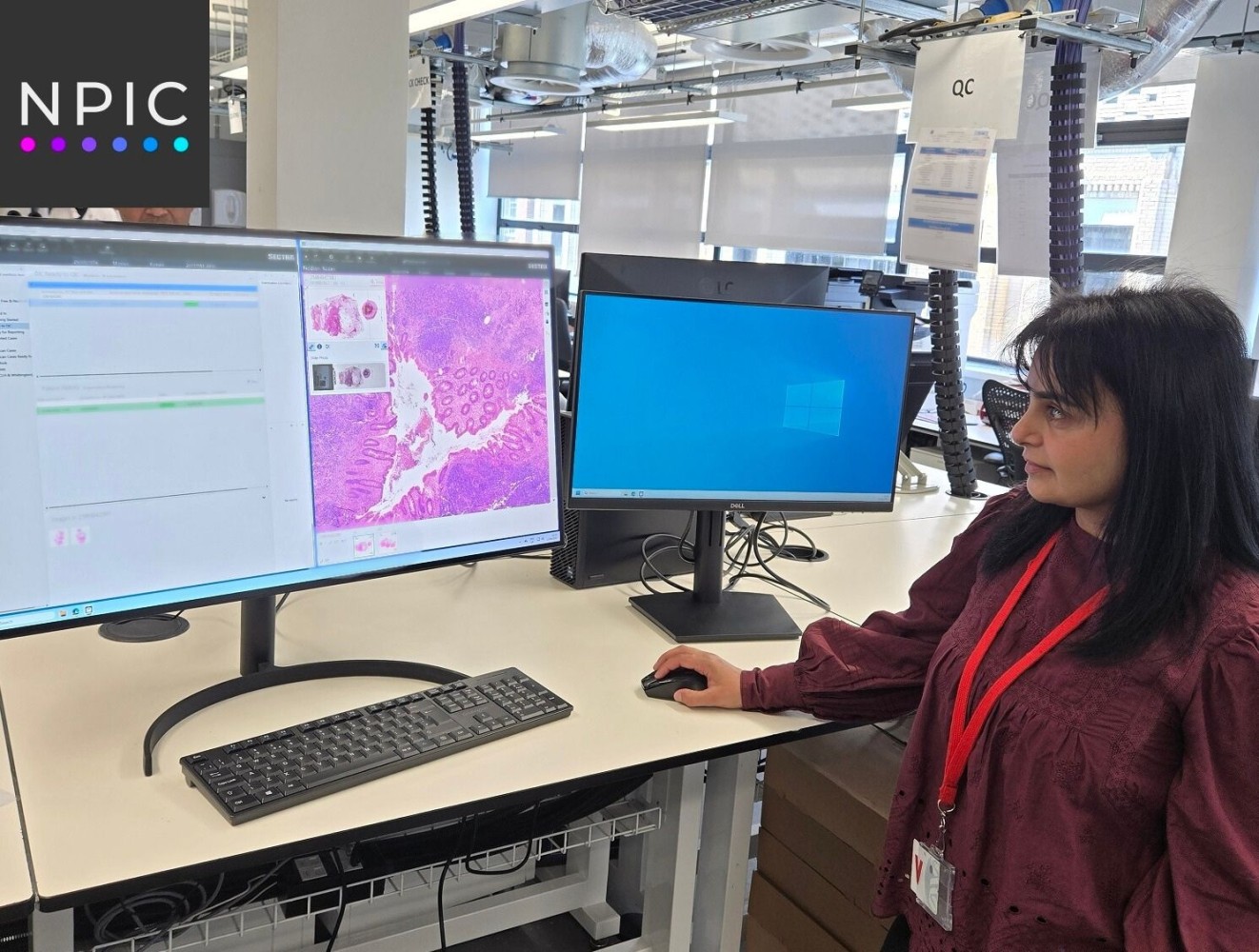 NPIC team carrying out training for the London team